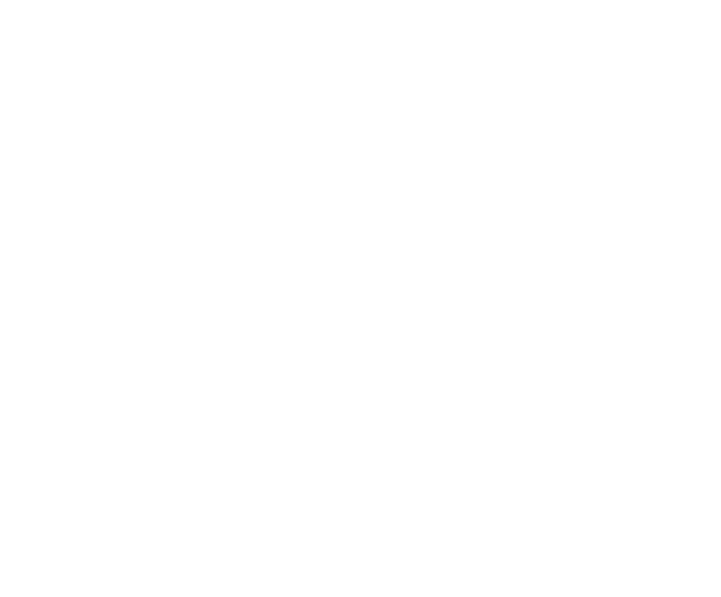 IUB Logo